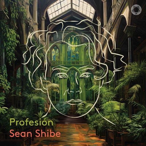 Profesión网赚项目-副业赚钱-互联网创业-资源整合HIRES SHOP