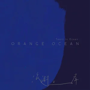 浪潮上岸 (Tears In Ocean)网赚项目-副业赚钱-互联网创业-资源整合HIRES SHOP