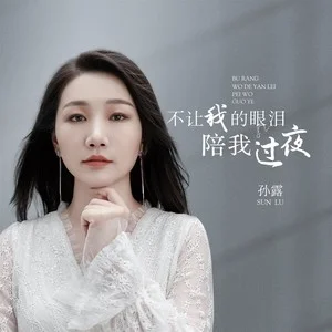 孙露《不让我的眼泪陪我过夜》网赚项目-副业赚钱-互联网创业-资源整合HIRES SHOP