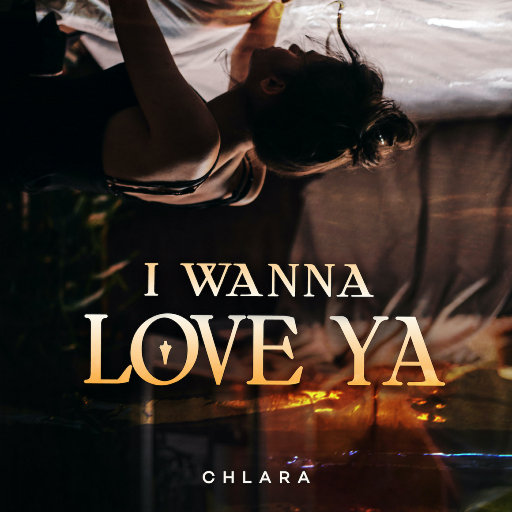 I Wanna Love Ya网赚项目-副业赚钱-互联网创业-资源整合HIRES SHOP