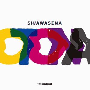 Shiawase Na Otona网赚项目-副业赚钱-互联网创业-资源整合HIRES SHOP