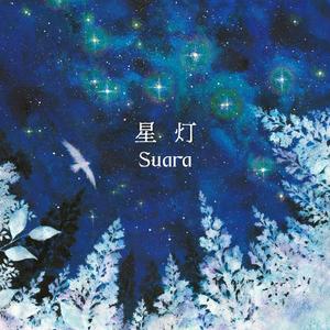 星灯网赚项目-副业赚钱-互联网创业-资源整合HIRES SHOP