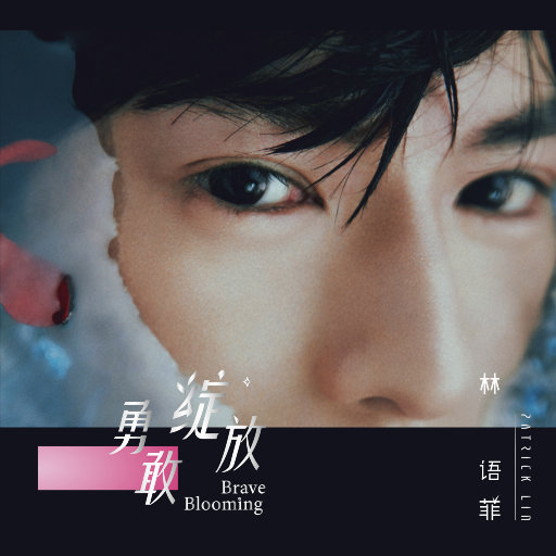 勇敢绽放网赚项目-副业赚钱-互联网创业-资源整合HIRES SHOP