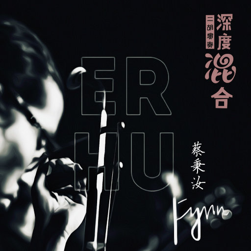 深度混合（二胡演奏）网赚项目-副业赚钱-互联网创业-资源整合HIRES SHOP
