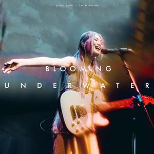 Blooming Underwater Live 2023网赚项目-副业赚钱-互联网创业-资源整合HIRES SHOP