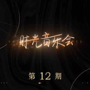 时光音乐会 第12期网赚项目-副业赚钱-互联网创业-资源整合HIRES SHOP