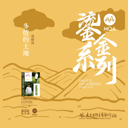 郑绪岚——多情的土地网赚项目-副业赚钱-互联网创业-资源整合HIRES SHOP