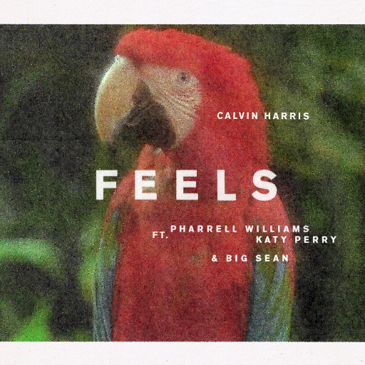 Feels-Calvin Harris网赚项目-副业赚钱-互联网创业-资源整合HIRES SHOP