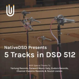 5 Tracks In Dsd512网赚项目-副业赚钱-互联网创业-资源整合HIRES SHOP