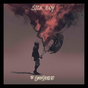 Sick Boy网赚项目-副业赚钱-互联网创业-资源整合HIRES SHOP