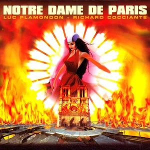 Notre-Dame de Paris网赚项目-副业赚钱-互联网创业-资源整合HIRES SHOP