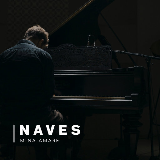 纳维斯 (Naves)网赚项目-副业赚钱-互联网创业-资源整合HIRES SHOP