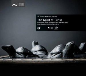 卓越录音特辑 – The Spirit of Turtle网赚项目-副业赚钱-互联网创业-资源整合HIRES SHOP