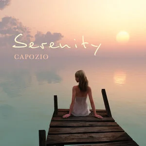 Serenity网赚项目-副业赚钱-互联网创业-资源整合HIRES SHOP