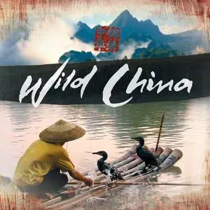 Wild China OST网赚项目-副业赚钱-互联网创业-资源整合HIRES SHOP
