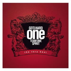 One Team One Spirit网赚项目-副业赚钱-互联网创业-资源整合HIRES SHOP