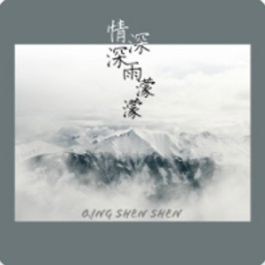 情深深雨濛濛音乐全记录网赚项目-副业赚钱-互联网创业-资源整合HIRES SHOP
