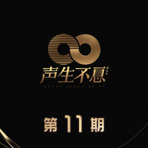声生不息 第11期网赚项目-副业赚钱-互联网创业-资源整合HIRES SHOP
