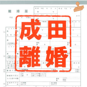 「成田離婚」オリジナル・サウンドトラック网赚项目-副业赚钱-互联网创业-资源整合HIRES SHOP