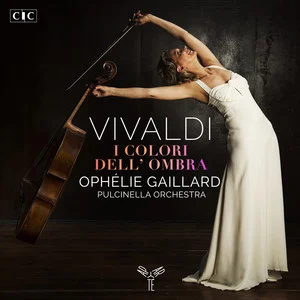 Vivaldi_ I colori dell’ombra网赚项目-副业赚钱-互联网创业-资源整合HIRES SHOP
