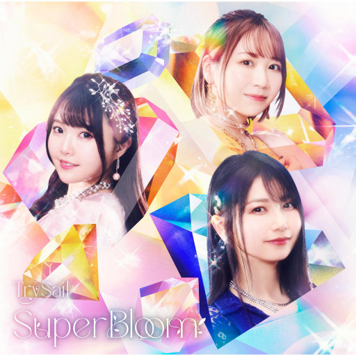 SuperBloom网赚项目-副业赚钱-互联网创业-资源整合HIRES SHOP