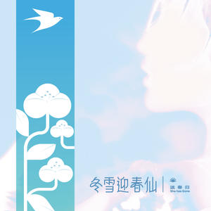冬雪迎春仙网赚项目-副业赚钱-互联网创业-资源整合HIRES SHOP