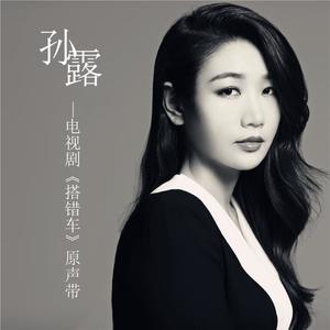 搭错车 电视剧原声带网赚项目-副业赚钱-互联网创业-资源整合HIRES SHOP