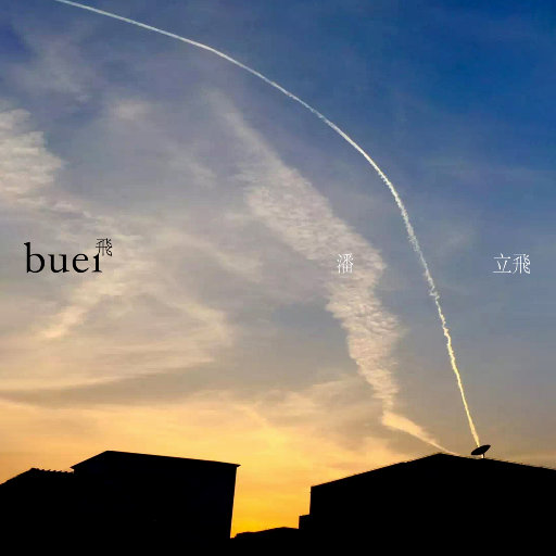 飞buei网赚项目-副业赚钱-互联网创业-资源整合HIRES SHOP