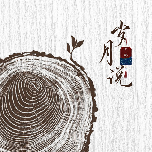 岁月说网赚项目-副业赚钱-互联网创业-资源整合HIRES SHOP