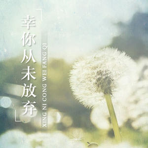幸你从未放弃网赚项目-副业赚钱-互联网创业-资源整合HIRES SHOP