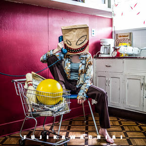 HiKiKoMoRi网赚项目-副业赚钱-互联网创业-资源整合HIRES SHOP