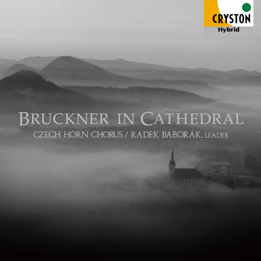 Bruckner in Cathedral (布鲁克纳在大教堂 – 天堂音乐 – ) (2.8MHz DSD)网赚项目-副业赚钱-互联网创业-资源整合HIRES SHOP