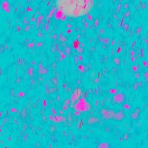 はじめましての気持ちを网赚项目-副业赚钱-互联网创业-资源整合HIRES SHOP