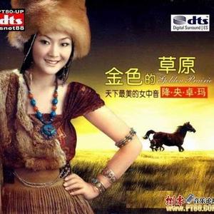 金色的草原网赚项目-副业赚钱-互联网创业-资源整合HIRES SHOP