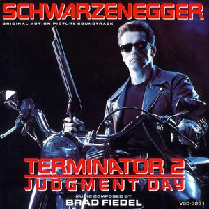 Terminator 2 Judgement Day网赚项目-副业赚钱-互联网创业-资源整合HIRES SHOP