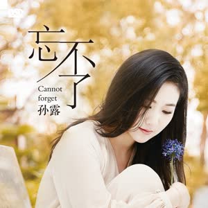 忘不了网赚项目-副业赚钱-互联网创业-资源整合HIRES SHOP