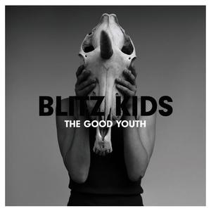 The Good Youth网赚项目-副业赚钱-互联网创业-资源整合HIRES SHOP