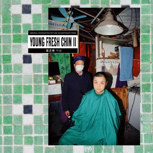 Young Fresh Chin II网赚项目-副业赚钱-互联网创业-资源整合HIRES SHOP