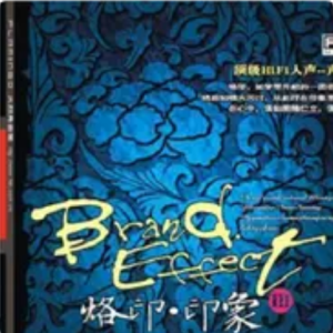 烙印.印象Ⅲ网赚项目-副业赚钱-互联网创业-资源整合HIRES SHOP