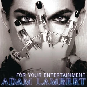 For Your Entertainment (Deluxe Version) (为了你的娱乐)网赚项目-副业赚钱-互联网创业-资源整合HIRES SHOP