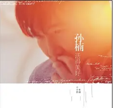 电视剧《爷们儿》网赚项目-副业赚钱-互联网创业-资源整合HIRES SHOP