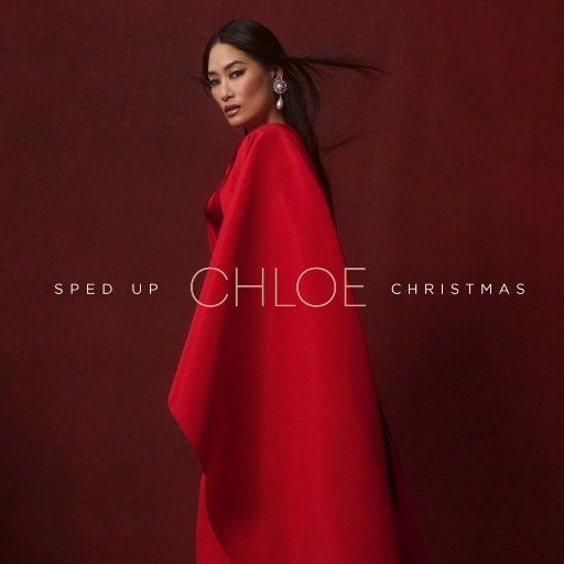 Sped Up Christmas网赚项目-副业赚钱-互联网创业-资源整合HIRES SHOP