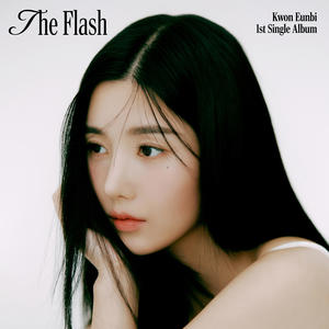 The Flash网赚项目-副业赚钱-互联网创业-资源整合HIRES SHOP