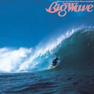 Big Wave网赚项目-副业赚钱-互联网创业-资源整合HIRES SHOP