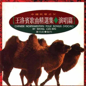 王洛宾歌曲精选集(演唱篇)网赚项目-副业赚钱-互联网创业-资源整合HIRES SHOP