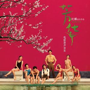 芳华 电影原声音乐网赚项目-副业赚钱-互联网创业-资源整合HIRES SHOP
