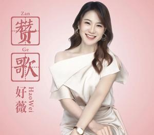 赞歌网赚项目-副业赚钱-互联网创业-资源整合HIRES SHOP