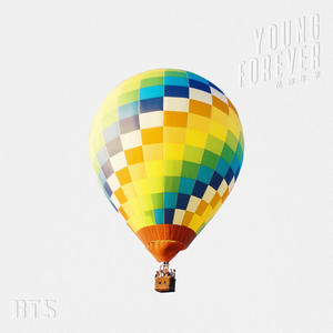 화양연화 Young Forever网赚项目-副业赚钱-互联网创业-资源整合HIRES SHOP