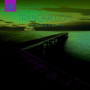 Tranquillo II网赚项目-副业赚钱-互联网创业-资源整合HIRES SHOP
