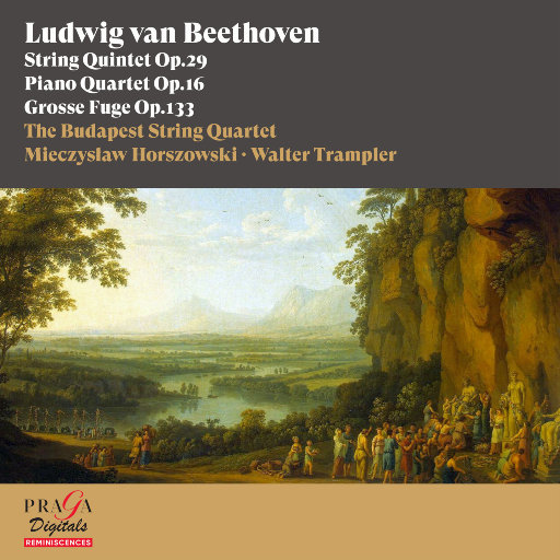 贝多芬: 弦乐五重奏, Op. 29, 钢琴四重奏, Op. 16, 大赋格, Op. 133网赚项目-副业赚钱-互联网创业-资源整合HIRES SHOP
